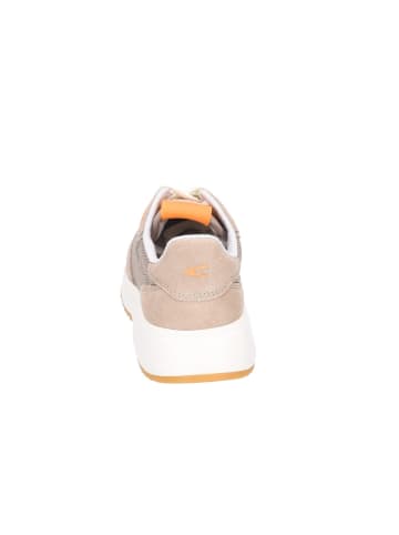 Camel Schnürschuhe in lighttaupe