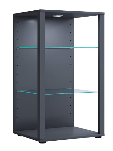 VCM  Holz Glas Stand Vitrine Sammelvitrine Glasol XL in Anthrazit