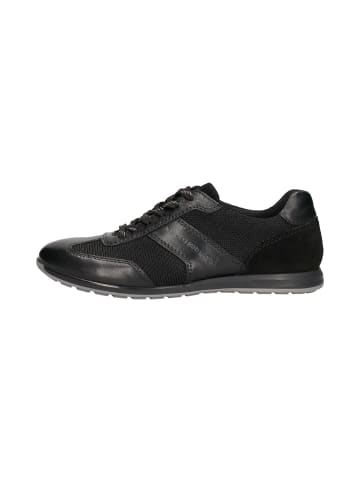 Bugatti Sneaker in schwarz