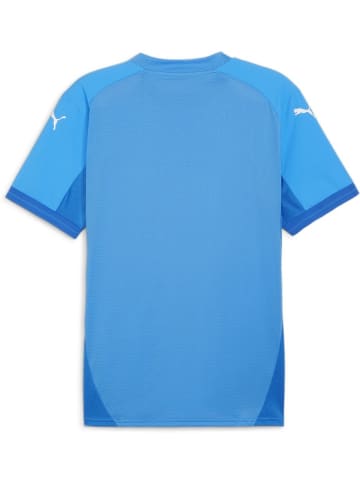 Puma Sportshirt "TeamFinal Jersey" in Blau