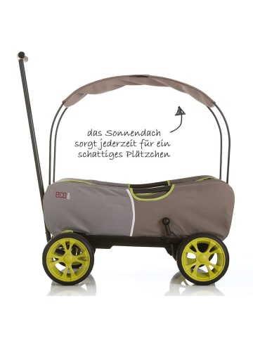 Hauck Toys Bollerwagen Eco Mobil Forest Green - faltbar in grau,beige