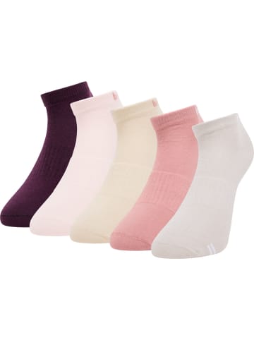 Bruno Banani Sneakersocken Dickson in Rosa