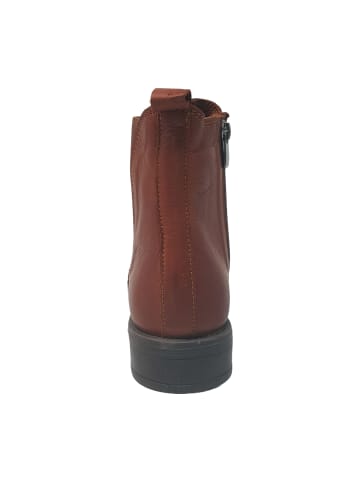 Beauties of nature Klassische Stiefeletten in Braun