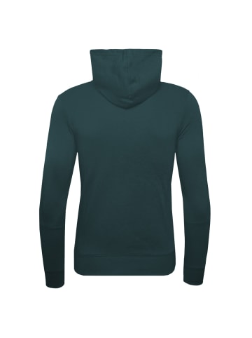 Champion Kapuzenpullover Hooded in gruen