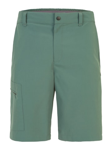 hot-sportswear Bermudas Lazio in cedar