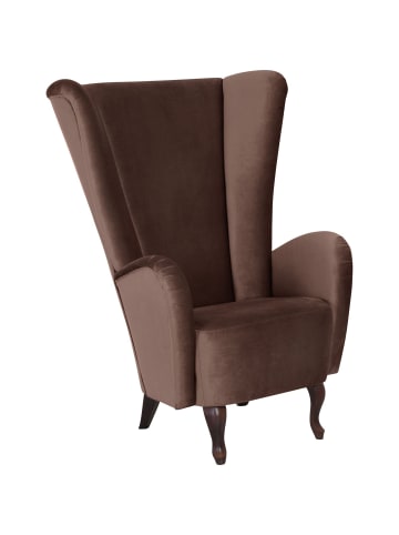 others HOCHLEHNSESSEL Kailey Bezug Samtvelours Buche nussbaum dunkel / braun