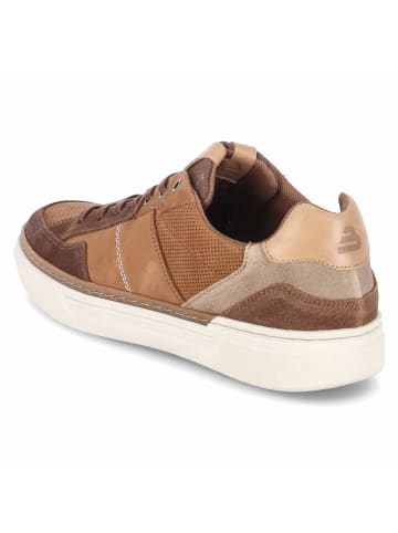 Bullboxer Low Sneaker in braun