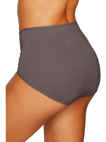 Vivance by Lascana Taillenslip in braun, weiß, grau, puder, schwarz, rosa