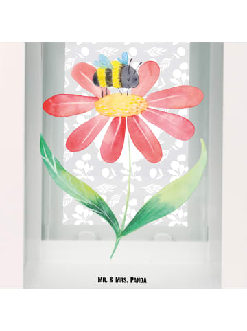 Mr. & Mrs. Panda Windlicht Hummel Blume ohne Spruch in Transparent