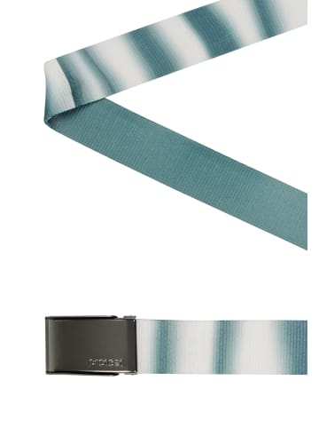 Protest " PRTMOUT in Evergreen