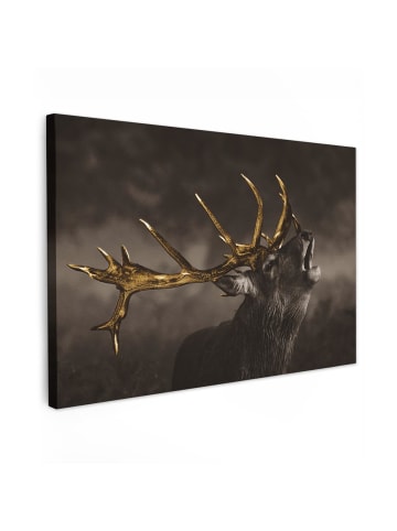 MuchoWow Leinwand bilder Braun