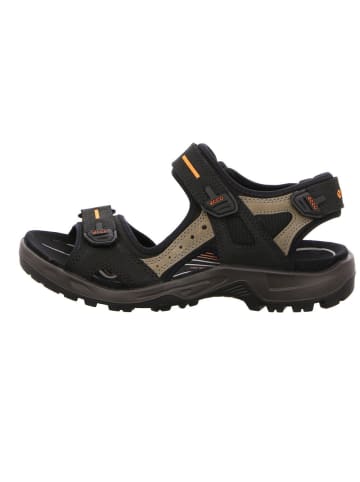 Ecco Outdoorschuh in grau