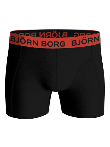 Björn Borg Boxershort 12er Pack in Schwarz