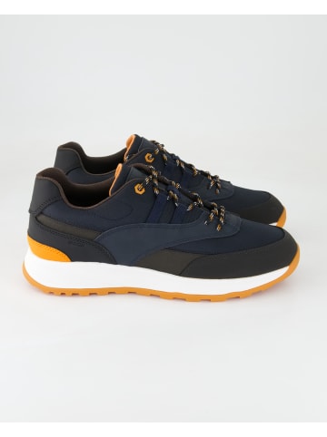 Geox Sportliche Schnürschuhe in Blau