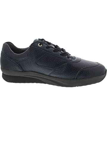 WALDLÄUFER K-Fabian Schnürer Blau