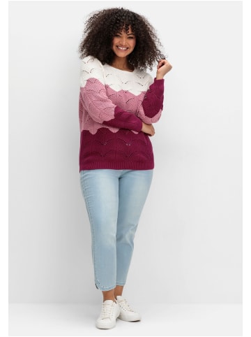 sheego Pullover im Ajourstrick, mit Colourblocking in beere gemustert