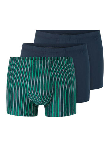 Schiesser Retro Short / Pant 95/5 Essentials - Cotton in Blau / grün