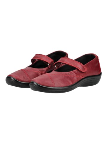 ARCOPEDICO Halbschuhe in Cherry