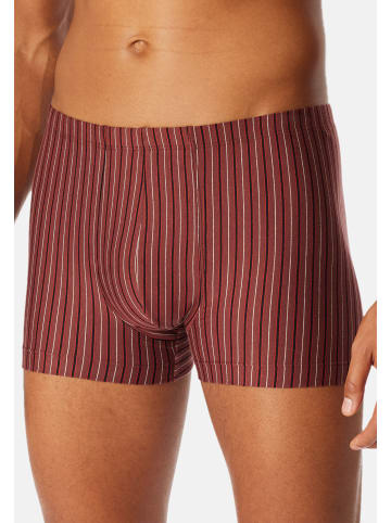 Schiesser Retro Short / Pant 95/5 Essentials - Cotton in Schwarz / rot