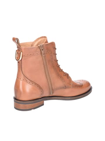 LLOYD Schnürstiefeletten in WHISKY