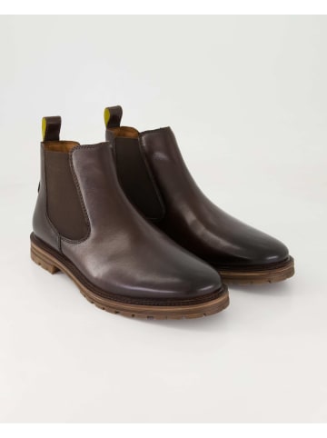 SALAMANDER Chelsea Boots in Braun