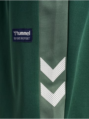 Hummel Hummel Shorts Hmlruphus Multisport Jungen in PINENEEDLE