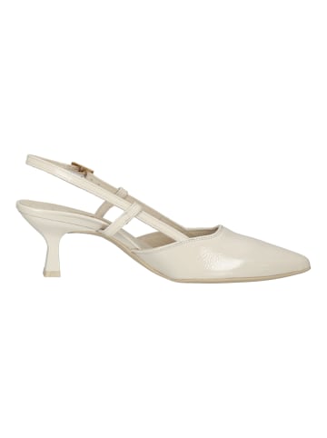 Paul Green Pumps in Beige Lack