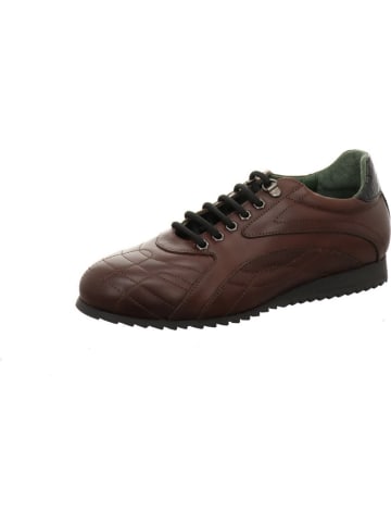 Galizio Torresi Sneaker in braun