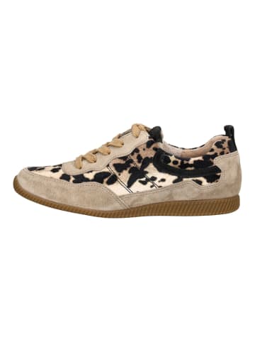 Paul Green Sneaker Beige/Braun