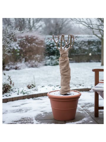 XClou Garden Wintervlies in Braun 1,5 x 5 m – Schutz vor Frost, Wind & Schnee in Braun