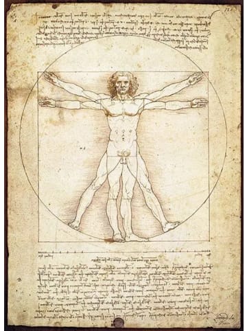 Eurographics The Vitruvian Man (Puzzle)