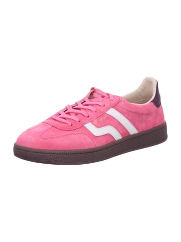 Gant Sneaker Low in rot