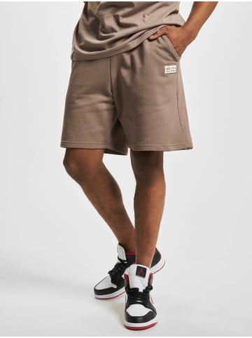 Alpha Industries Alpha Industries Cargo Shorts in brown