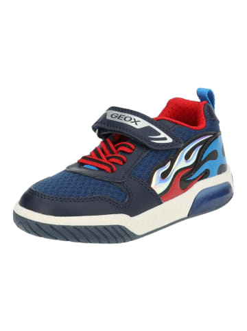 Geox Sneaker in Schwarz/Rot