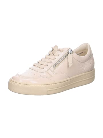 Paul Green Sportliche Schnürschuhe in Beige