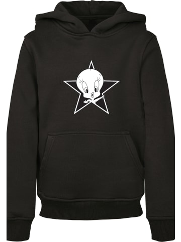 F4NT4STIC Hoodie in black