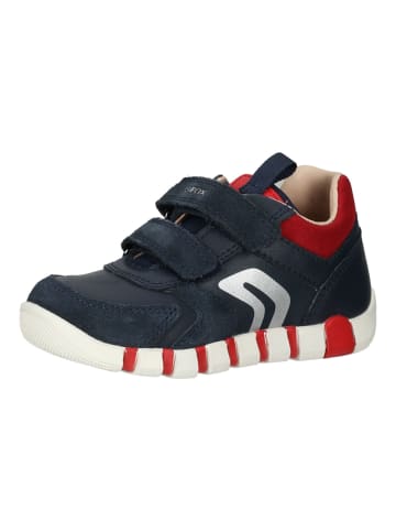 Geox Sneaker in Navy/Rot