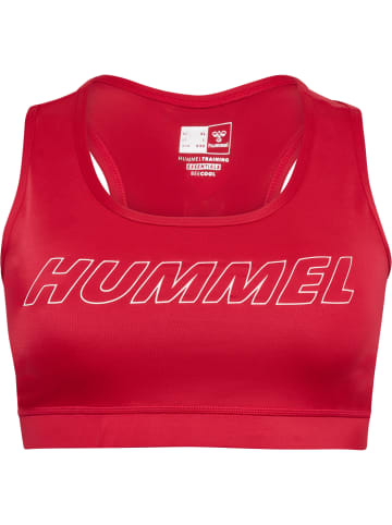 Hummel Hummel Top Ringerrücken Hmlte Curvy Damen in AMERICAN BEAUTY