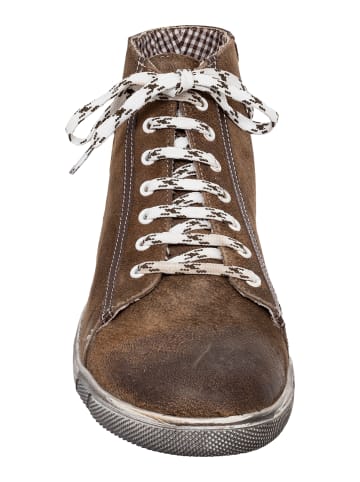 MADDOX Schuhe MARINUS in nappato wood - braun