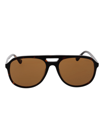 Barbour Damen Sonnenbrillen Aviator Havanna