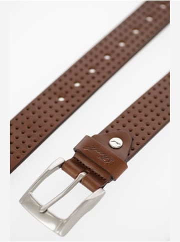 Reell Gürtel "Punched Belt" in Braun