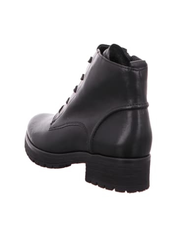 Gabor Comfort Schnürstiefeletten in Schwarz
