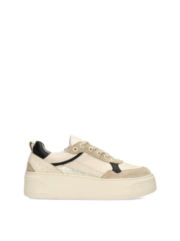 POELMAN Poelman CANA Damen Sneaker