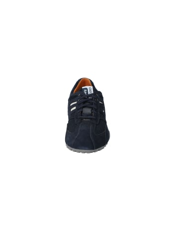 Geox Sneaker in navy