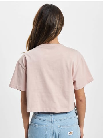 Converse Converse T-Shirts in pink clay