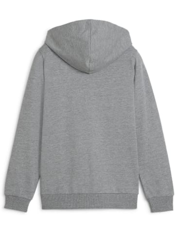 Puma Hoodie "TeamGoal CasuaLongsleeve Hooded Jacket Jr" in Grau
