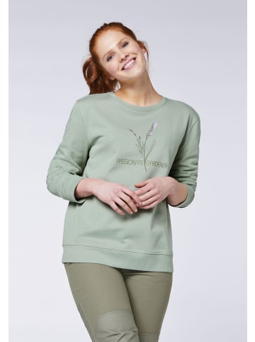 Gardena Sweatshirt in Grau