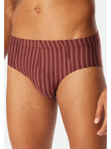 Schiesser Mini Slip / Unterhose 95/5 Essentials - Cotton in Schwarz / rot