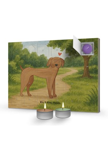 Mr. & Mrs. Panda Duftkerzen Adventskalender Hund Dogge Design oh... in Weiß