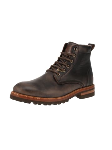 PANAMA JACK Ankle-Boots Emery Igloo in Braun